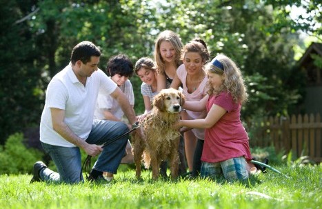 Family_Zusatzangebote