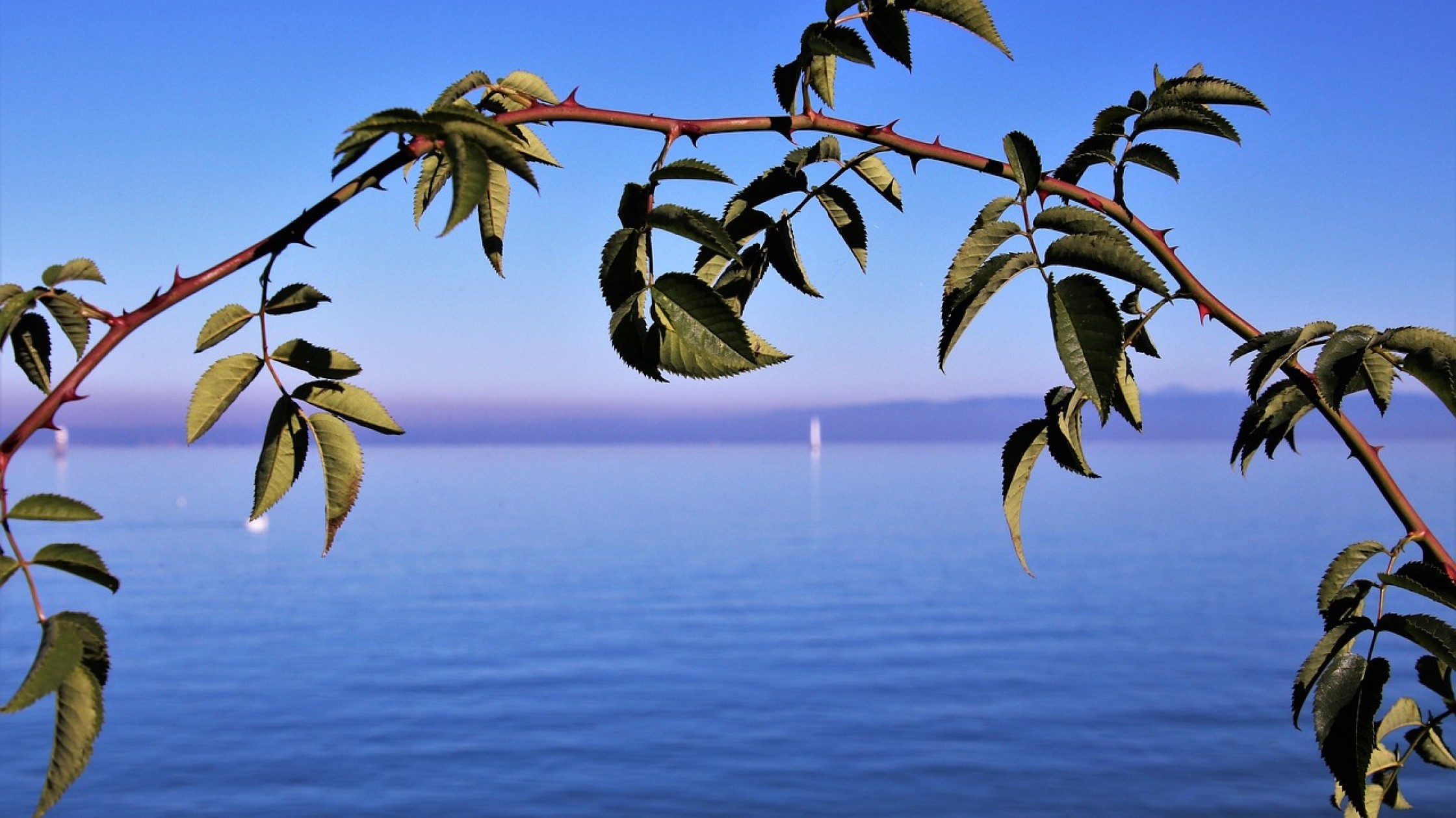 blue-sky-3707761_1280